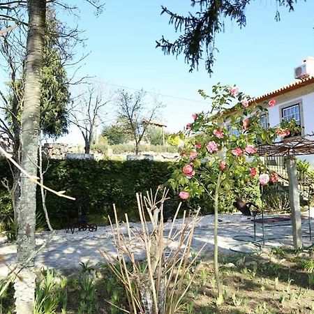 Quinta De Vila Verde- Paixao Ancestral, Turismo Rural Marco de Canavezes Dış mekan fotoğraf