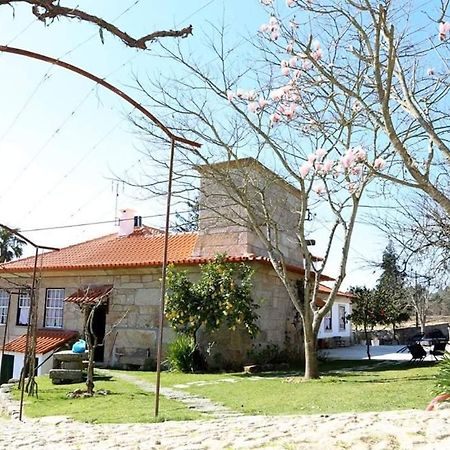 Quinta De Vila Verde- Paixao Ancestral, Turismo Rural Marco de Canavezes Dış mekan fotoğraf